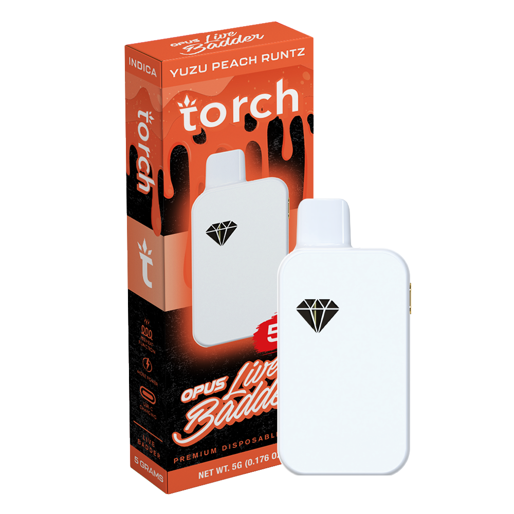 torch vape price Torch Watermelon Mint Thca Disposable | Indica