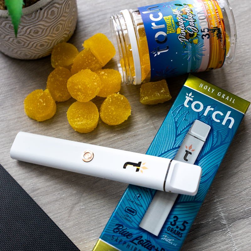 Torch Content Creator Program – Torch Hemp