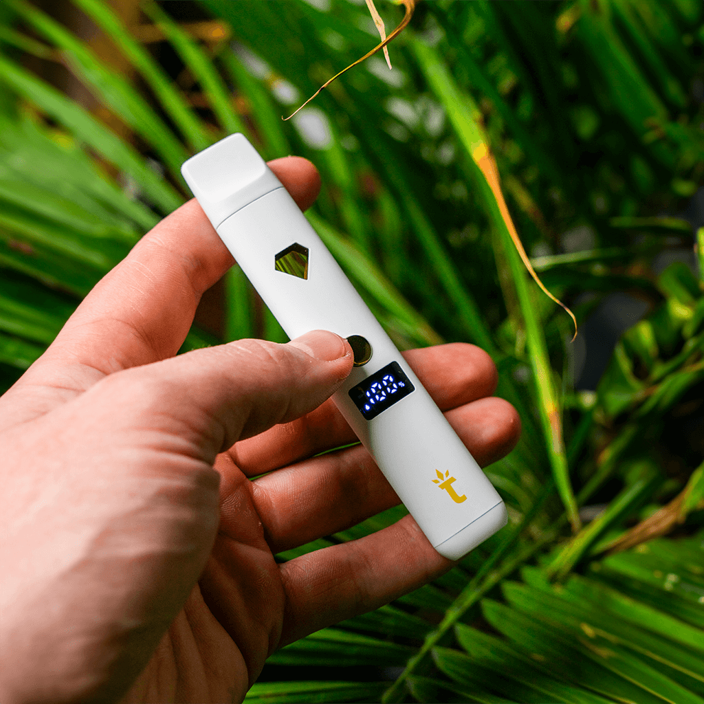 Exploring Torch Disposables: A Convenient and Premium Hemp Experience Torch Hemp Exploring Torch Disposables: A Convenient and Premium Hemp Experience Torch Hemp